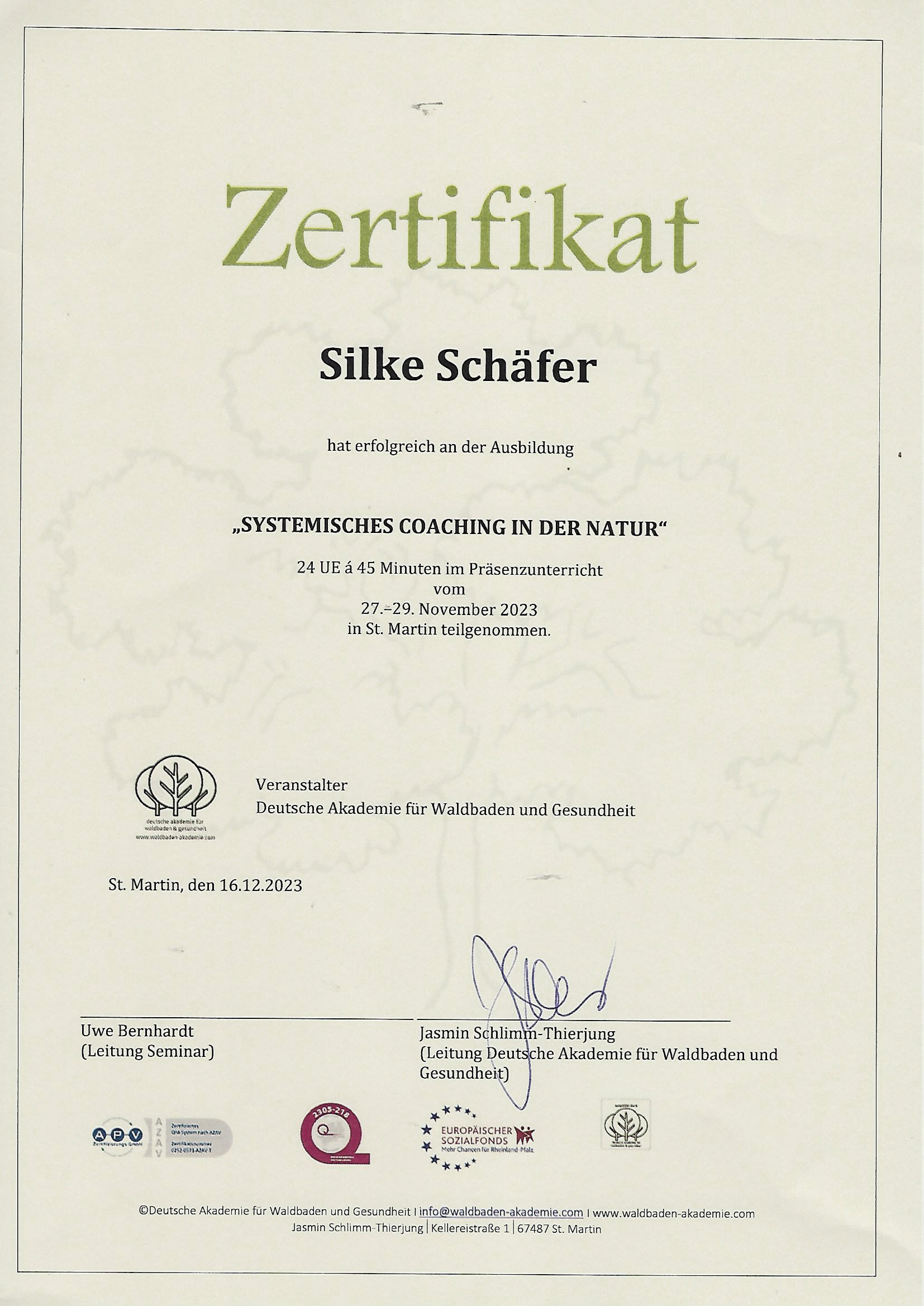 Sytemische Coach